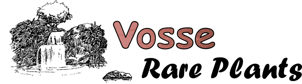 Vosse Rare Plants